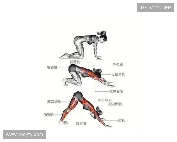 科学健身计划：从基础到进阶全方位指导打造理想体型