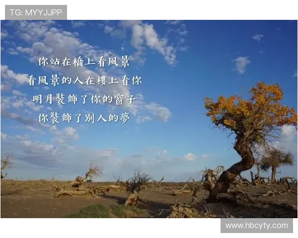 刘铮的奋斗历程与人生哲学探索：从平凡到卓越的心路历程